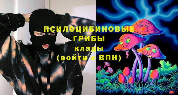 мдпв Ступино