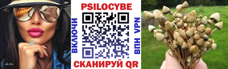 Галлюциногенные грибы Magic Shrooms  закладка  Курганинск 