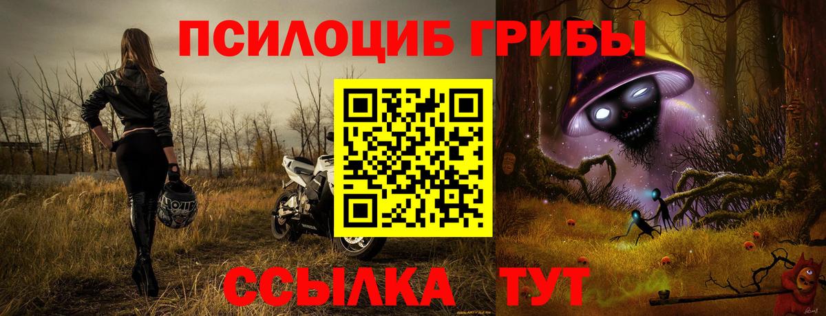 Псилоцибиновые грибы прущие грибы  Вход с VPN  Курганинск 
