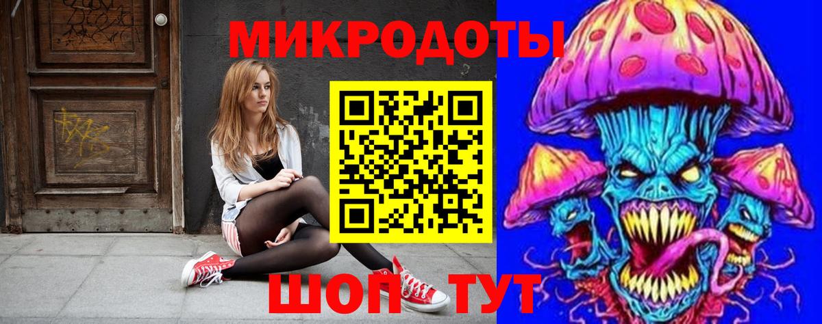 Псилоцибиновые грибы Psilocybe Курганинск