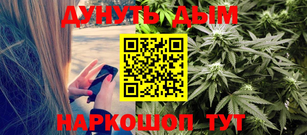 Шишки марихуана планчик  Вход с VPN  Курганинск  Шишки марихуана Bruce Banner  Бошки марихуана конопля 